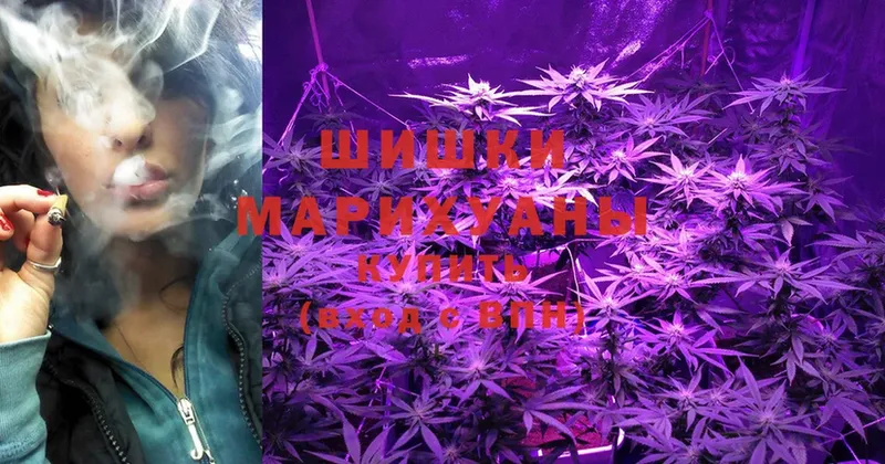 blacksprut ССЫЛКА  Емва  МАРИХУАНА SATIVA & INDICA 